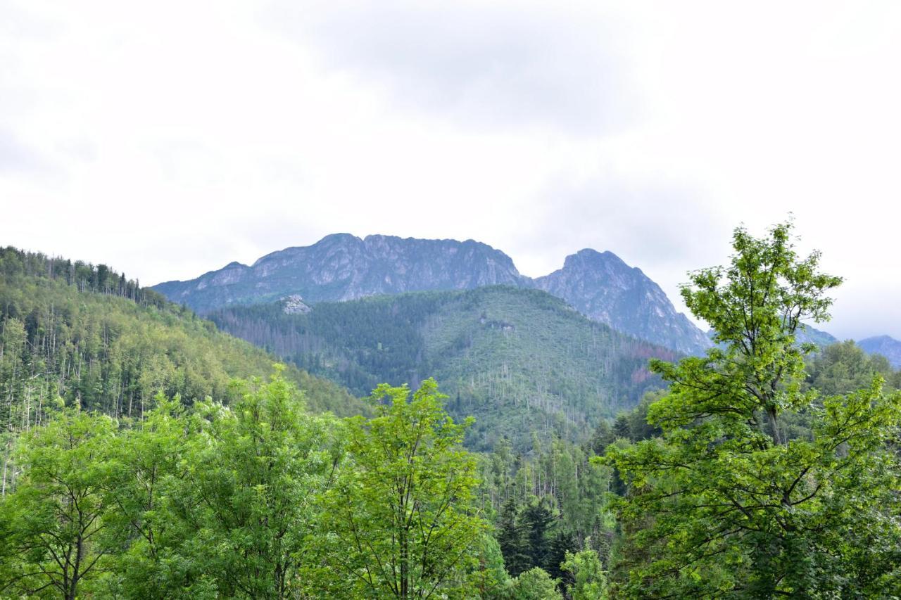 Willa Halka Zakopane Extérieur photo