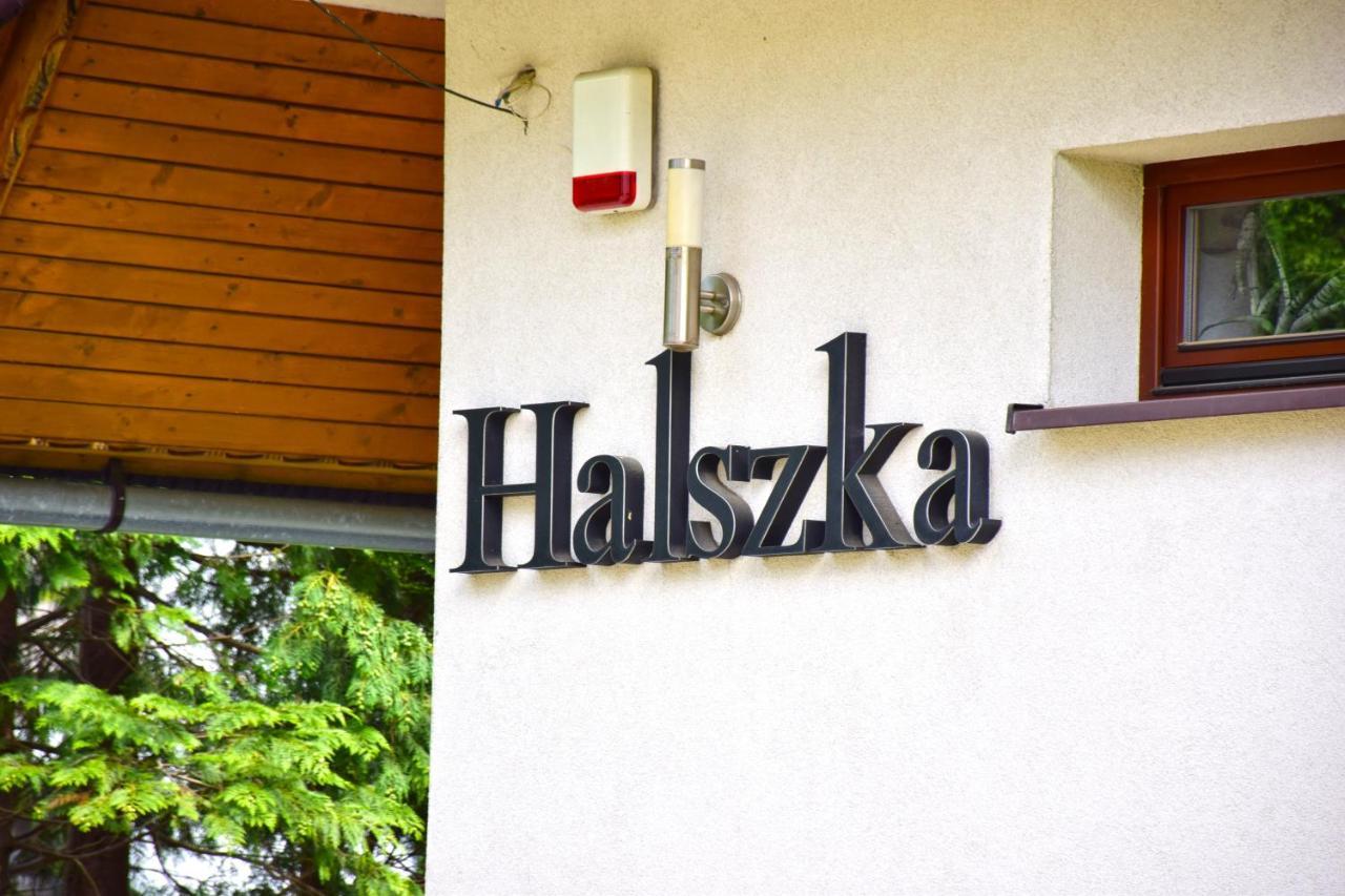 Willa Halka Zakopane Extérieur photo